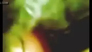 الفرس الخليجي وانبوب الاباحه