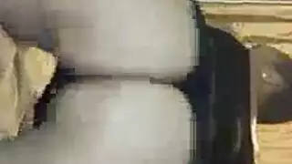 جماعات عائلية مع ترجمة