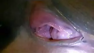 أنبوب إباحية مجاني: يوم مليء بعروض إكس إكس إكس غير متوقفة