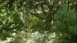 العصر الذهبي للأفلام الإباحية البرازيلية: إرث عائلة غزال الجنسي الصريح