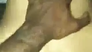 إباحية حلق عميق مع بي بي سي وفعل فم متقيّء