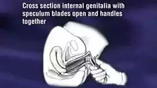 محجبة سحاقية