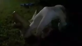 الزوج وابنت زوجته