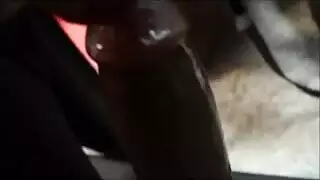 أفضل مواقع السكس لأفلام الجنس المترجمة والمشاهد الصريحة