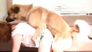 افلام سكس اباحية كلاب مع نساء